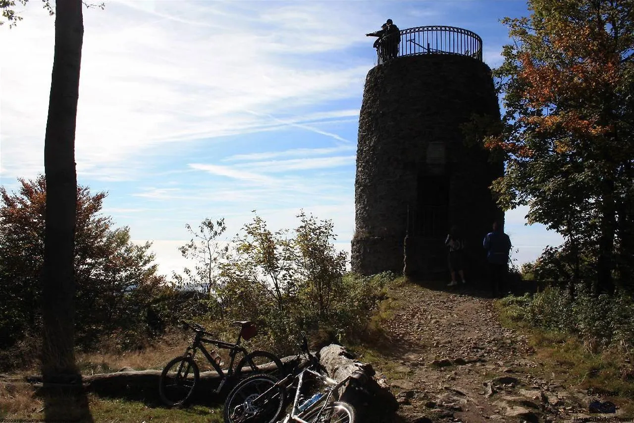 Hotel Hirschenstein Achslach 3*,