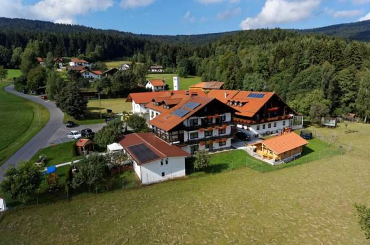 Hotel Hirschenstein Achslach 3*,  Deutschland