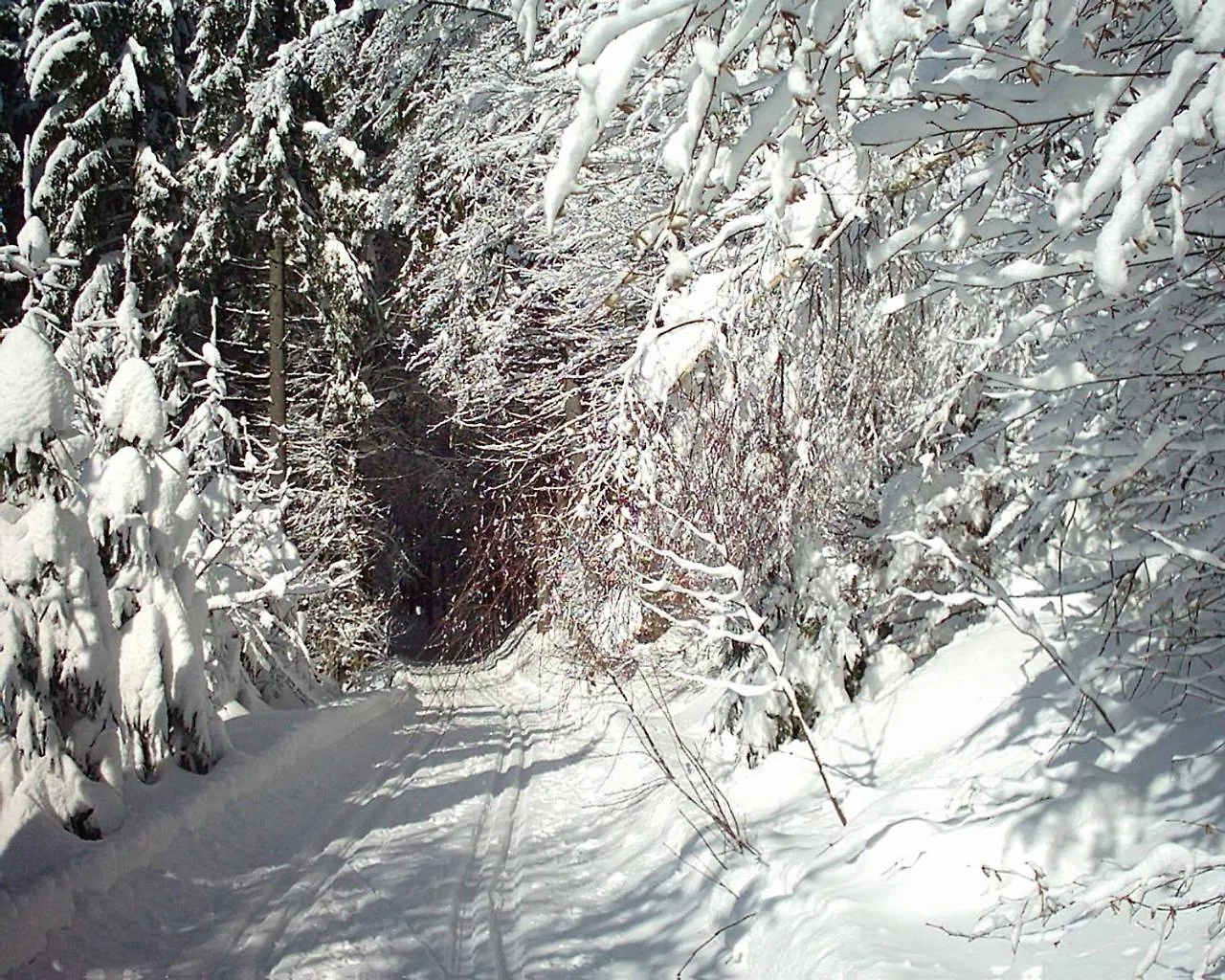 Hotel Hirschenstein Achslach 3*,