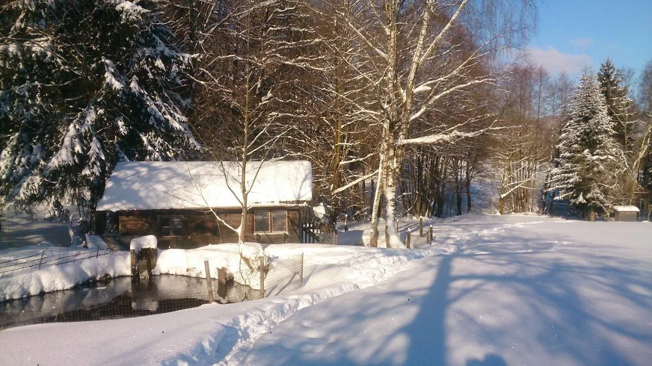 Hotel Hirschenstein Achslach 3*,