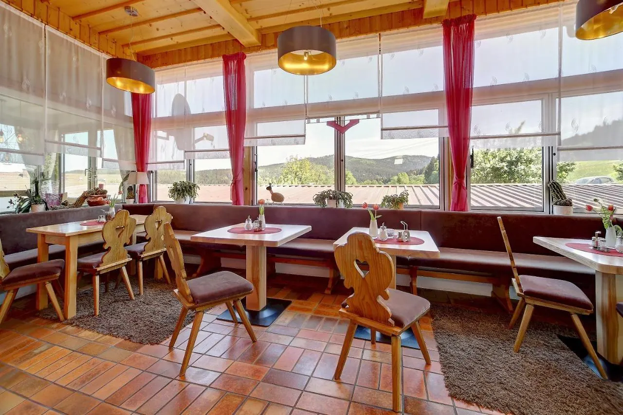 Hotel Hirschenstein Achslach 3*,  Germany